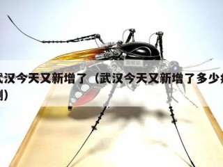 武汉今天又新增了（武汉今天又新增了多少病例）