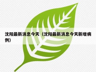 沈阳最新消息今天（沈阳最新消息今天新增病例）