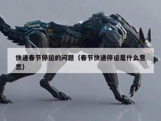 快递春节停运的问题（春节快递停运是什么意思）