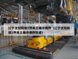 辽宁沈阳新增1例本土确诊病例（辽宁沈阳新增1例本土确诊病例轨迹）